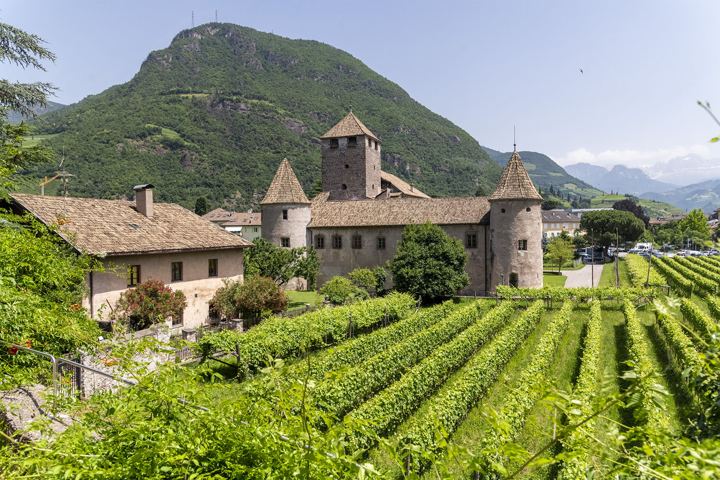 Schloss Maretsch inmitten der Weinberge